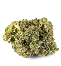 Aurora Pink Kush